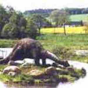 Freizeitpark Plohn